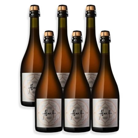 Alternative view of Alma 4 Bonarda 750ml