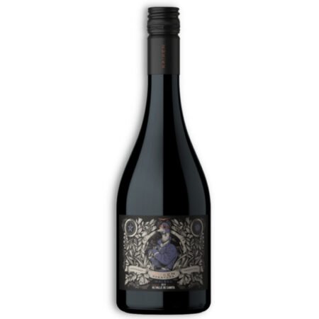 KAIKEN AVENTURA VALLE DE CANOTA MALBEC 750ML