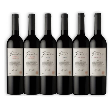 MIX FAMILIA GASCÓN 2U RED BLEND + 2 SYRAH + 2U CABERNET SAUV
