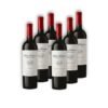 MIX DON NICANOR 3 DON NICANOR VINO MALBEC 750ML NIETO SENETINER + 3 DON NICANOR VINO CABERNET SAUVIGNON 750ML NIETO SENETINER