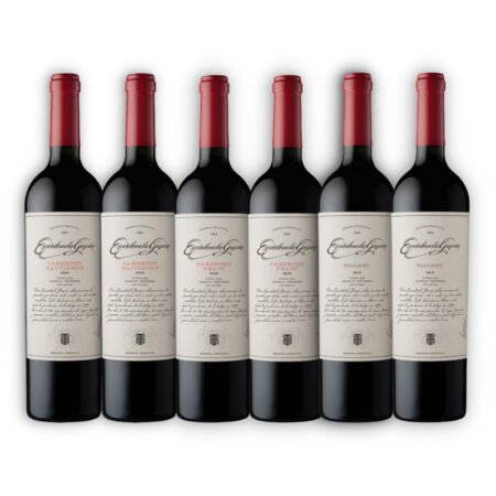 MIX ESCORIHUELA GASCÓN 2U MALBEC + 2U CABERNET SAUVIGNON + 2U CABERNET FRAN CAJA X6U 750ML
