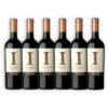 MIX VINO ESTIBA 2U CABERNET SAUV + 2U SYRAH + 2U TEMPRANILLO